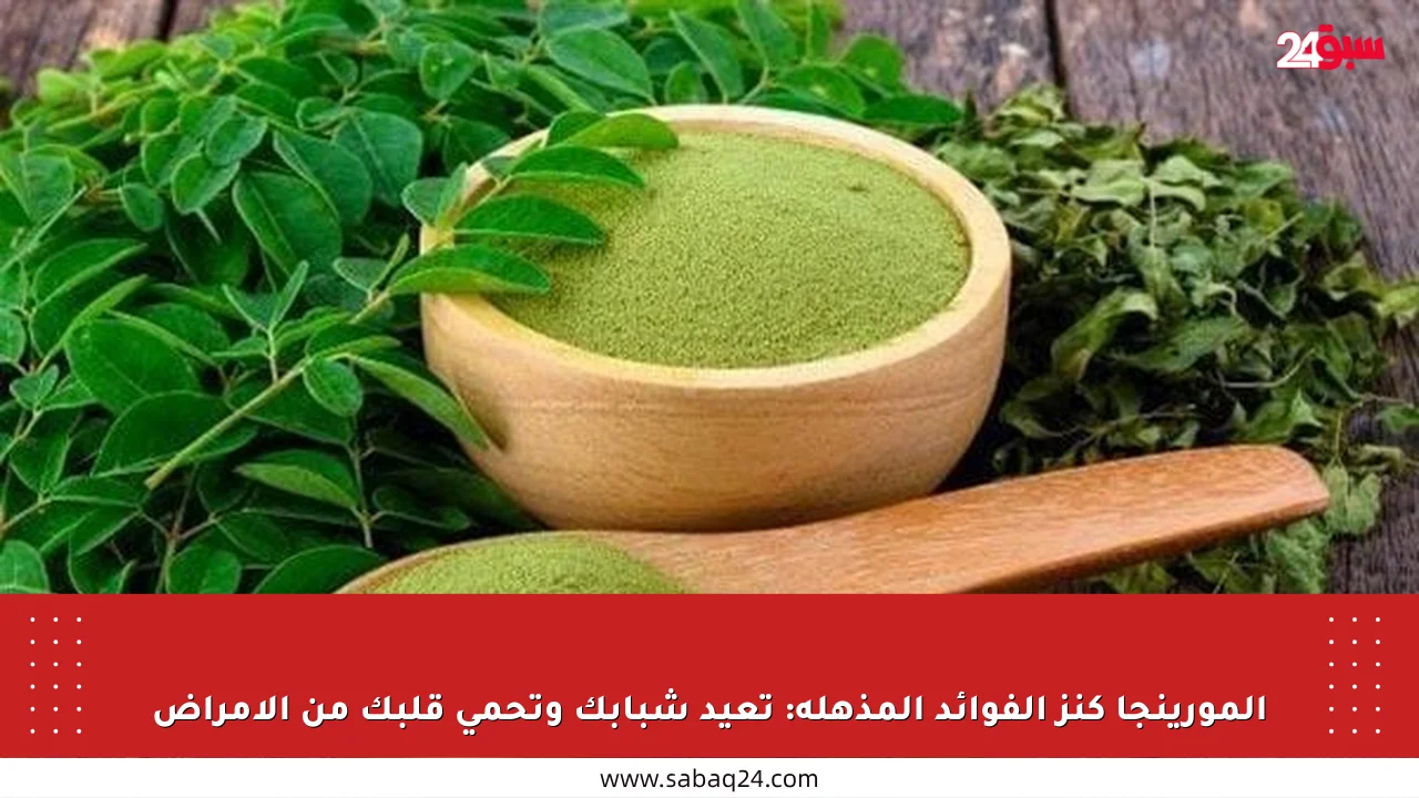 المورينجا كنز الفوائد المذهلة: تعيد شبابك وتحمي قلبك من الأمراض